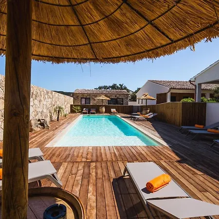 Petra D'oro - Chiappa